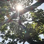 Sunset By Interhome דירה *